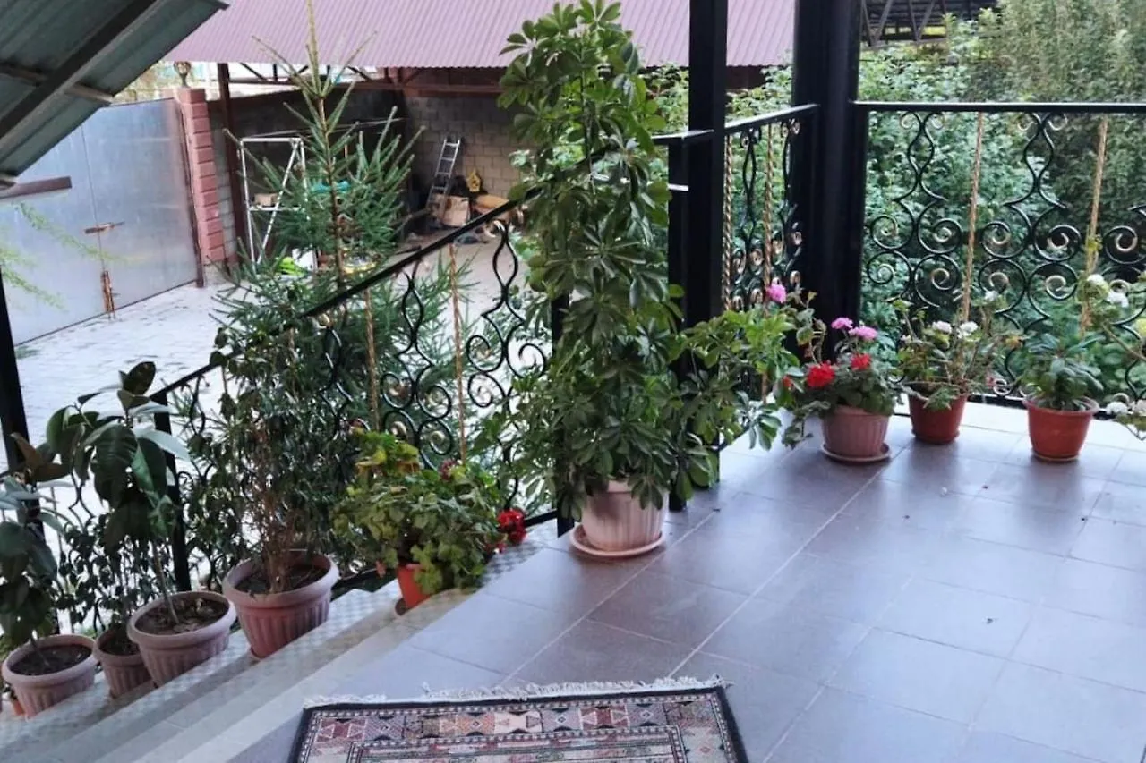 Almaty Guest House